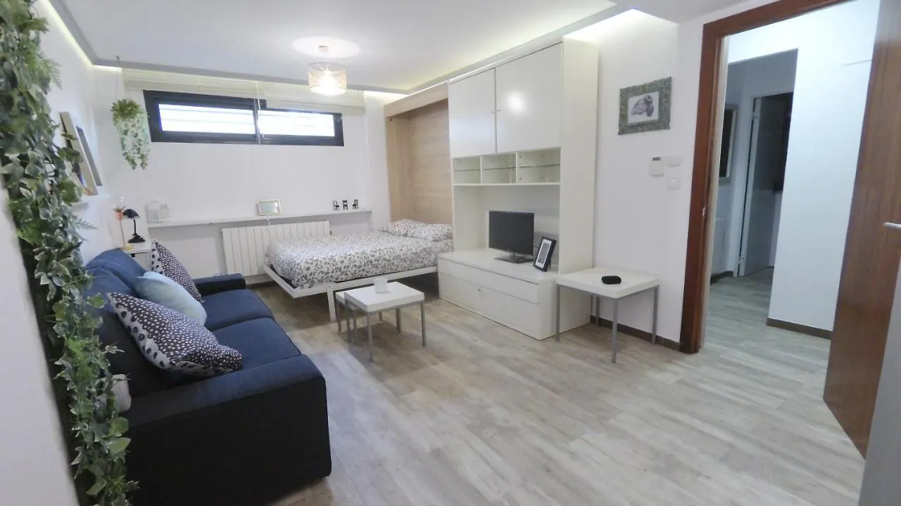 Apart Blanco Para Esqui Y Alhambra. Garaje Privado Granada Apartment